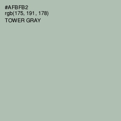 #AFBFB2 - Tower Gray Color Image